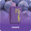 Grape Lost Mary OS5000